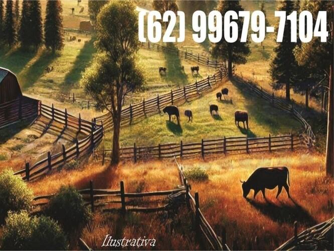 Fazenda Galinari I com 686,7 ha - Propriedade Rural ampla