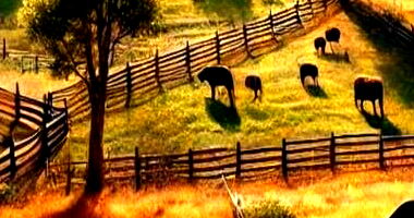 Fazenda Galinari I com 686,7 ha - Propriedade Rural ampla