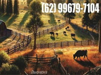 Fazenda Galinari I com 686,7 ha - Propriedade Rural ampla