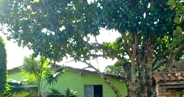 Imóvel Rural com Casa Sede e Cisternas