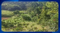 Terreno Rural 3,60 hectares - Sítio São Cristóvão
