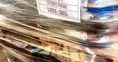 Caixa de Engrenagens Traseiras do Motor Perkins 2806 - Lote 065