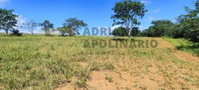 Fazenda São Brás e Almas com 485 ha