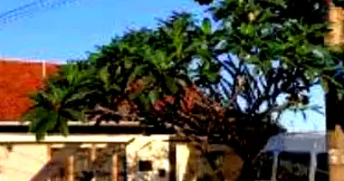 Casa Ocupada com 228m² de Área Construída em Campo Grande/MS