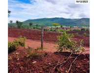 Sítio rural com 68 hectares, sem casa sede, cercado e com cocheiras