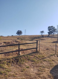 Fazenda com 27 hectares e benfeitorias