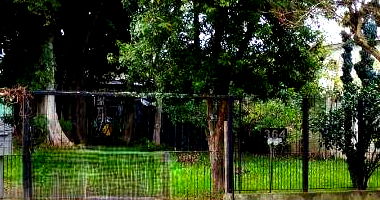 Casa com 4 Quartos e 3 Banheiros em Porto Alegre