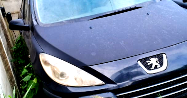 Peugeot 307 SD16 FXPR - Oportunidade Imperdível!