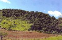 Terreno Rural 10,9 ha - Gleba 2 - Barra Azul - Manoel Ribas/PR