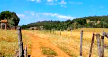 Fazenda com 150,34 hectares em Piranhas/GO