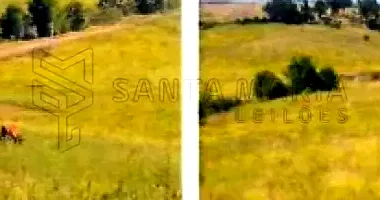 Terreno Rural com 100,89ha em Alegrete/RS