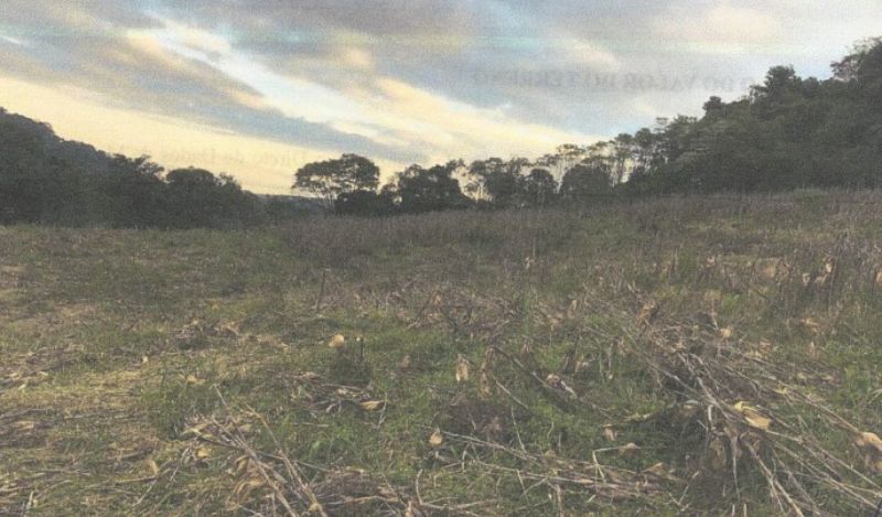 Lote rural com 35.000m², parte ideal, ocupado