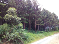 Terreno rural em Laurentino com 82.658,17m²