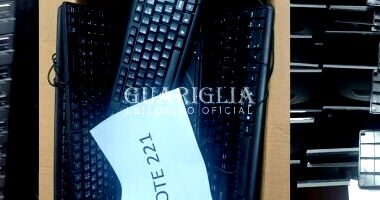 Lote 221 - Diversos Materiais Educacionais