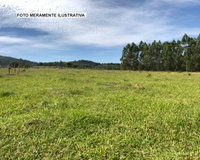 Fração de Terras com 53ha em Mostardas/RS