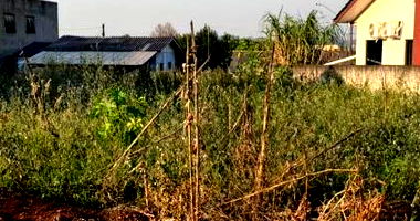 Terreno Urbano com 361,68m² em Ampére-PR