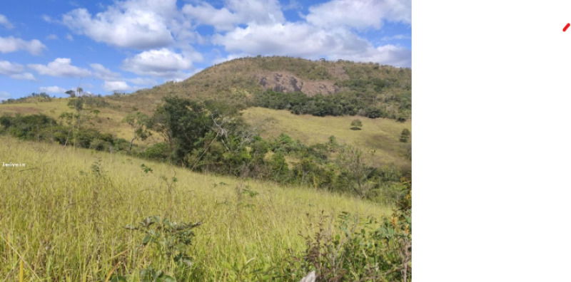 Fazenda Gangolô - Imóvel Rural com Benfeitorias em Coronel Murta/MG
