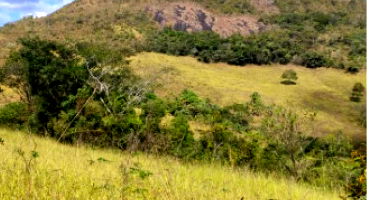 Fazenda Gangolô - Imóvel Rural com Benfeitorias em Coronel Murta/MG