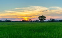 Imóvel Rural em Lagoa Formosa/MG - 14.17ha