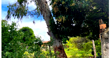 Terreno com 400m² em Aracaju/SE