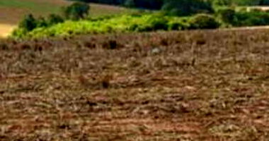 Fraçāo Ideal de 50% de Terras com 1.15ha em Itapeva/SP