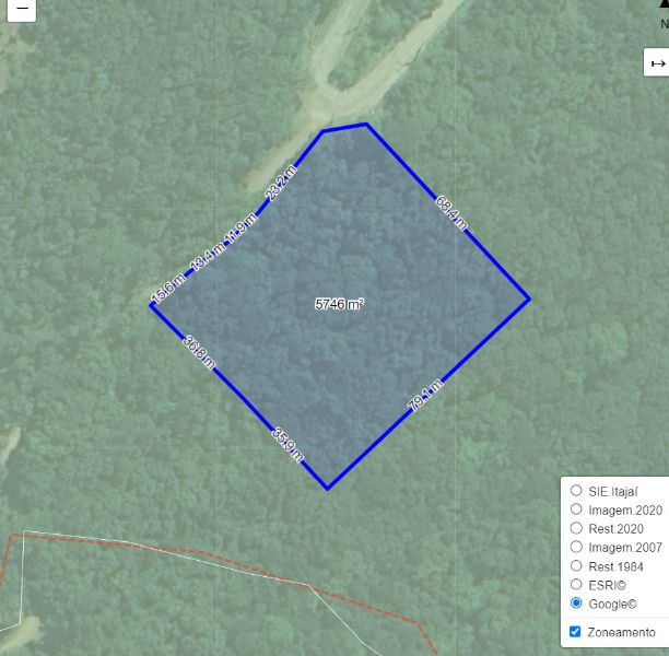 Terreno amplo com 5000m² no Morro da Cruz, desocupado