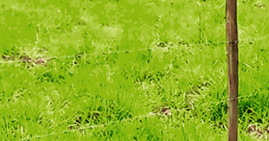 Terreno 330m² em Votorantim/SP