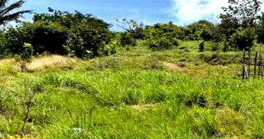 Lotes em Goiana - Oportunidade de Investimento