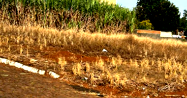 Terreno em Xanxerê SC