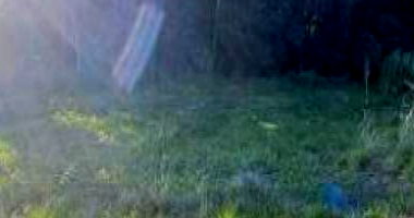 Terreno 337m² em Cordilheira Alta/SC -