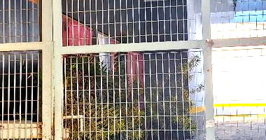 Loja 2.500m² com 15 Vagas em São Paulo - Oportunidade de Investimento!