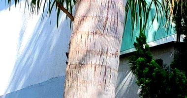 Casa de 2 pavimentos em Alphaville, 260m²