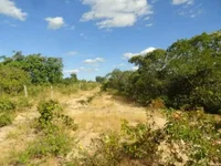 Terreno com 24,77 hectares em Santa Rita