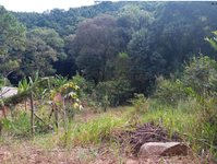 Direitos sobre gleba de terras com 2000m² em Piedade