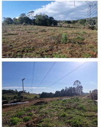 Terreno Rural de 7.990 m² com Matrícula 36.229