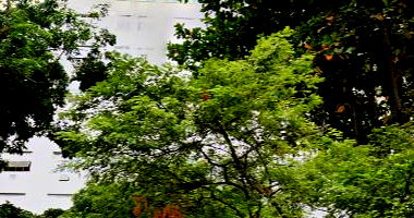 Apartamento Luxuoso no Flamengo com 3 Quartos