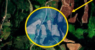 Sítio com 12,50 hectares em Linha Baixo Xaxim