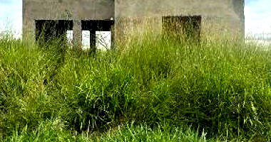 Terreno em Uberaba com 44,9 m²