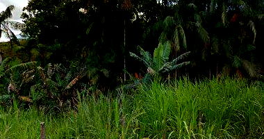 Terreno amplo em Jaraguá do Sul com 38,90 ha e acesso facilitado
