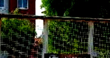 Apartamento com 2 quartos em Luziânia/GO