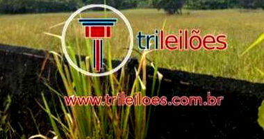 Terreno Amplo em Goiana/PE com 11.152m²