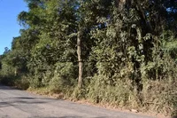 Ampla Área de 5.486,32 m² em Localização Privilegiada