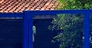 Casa Residencial em Santo André com 355m² Útil