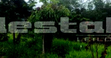 Terreno com 615m² em Lindóia