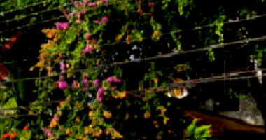 Terreno Residencial de 424m² com Casa de 135m²