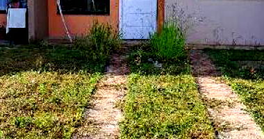 Casa em Ponta Grossa/PR com 2 quartos