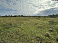 50% de Fazenda com 98 hectares e benfeitorias rurais