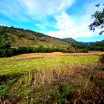 Fração Ideal de Terreno Rural 1,94 ha - Oportunidade para Desenvolvimento