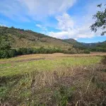 Fração Ideal de Terreno Rural 1,94 ha - Oportunidade para Desenvolvimento