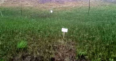 Terrenos em Itaporanga D'Ajuda/SE - Ocupado